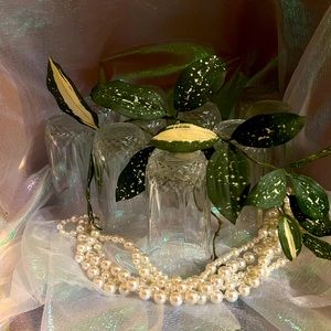 Inspired By: LONGCHAMP Cristal D’Arques Highball Glasses